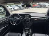 Thumb image 22