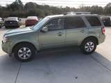 thumb 2010 Ford Escape