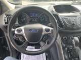 Thumb image 13