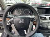 Thumb image 13