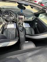 Thumb image 18