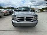 thumb 2010 Dodge Dakota Crew Cab