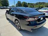 thumb 2019 Nissan Maxima